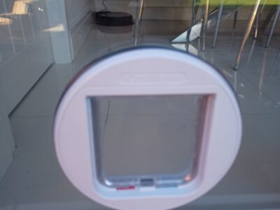 Glass Cat Flap 02