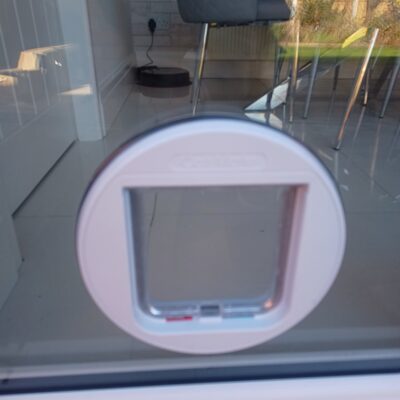 Glass Cat Flap 02